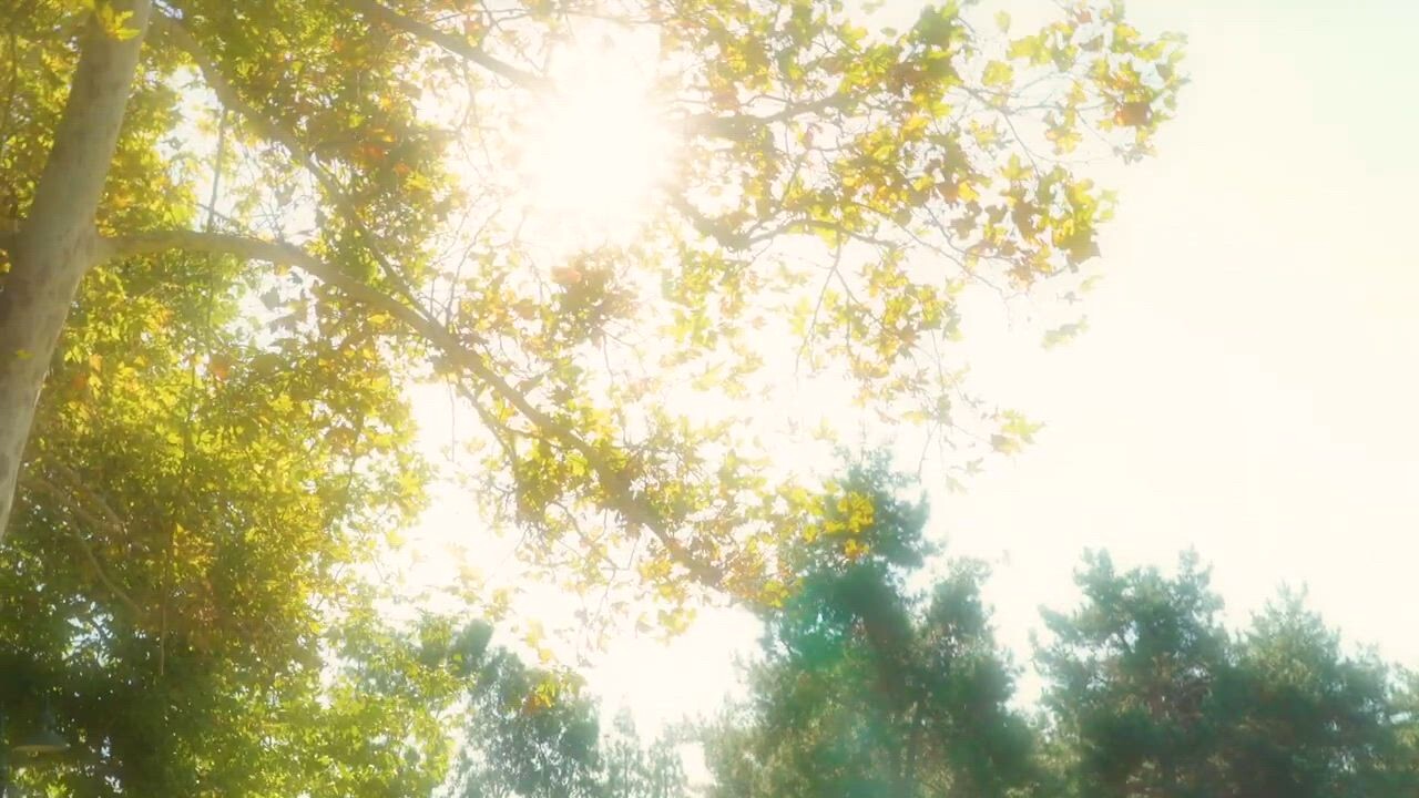 Two Moons Film Vostfr Ddl