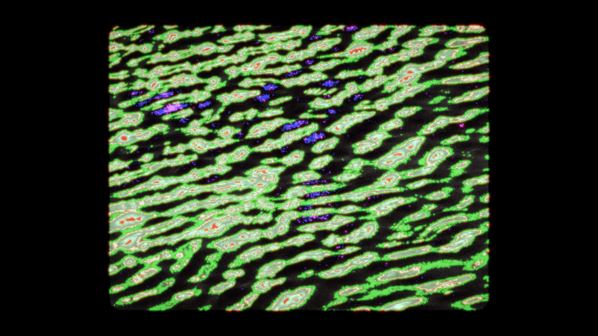 timeless-filmfreeway