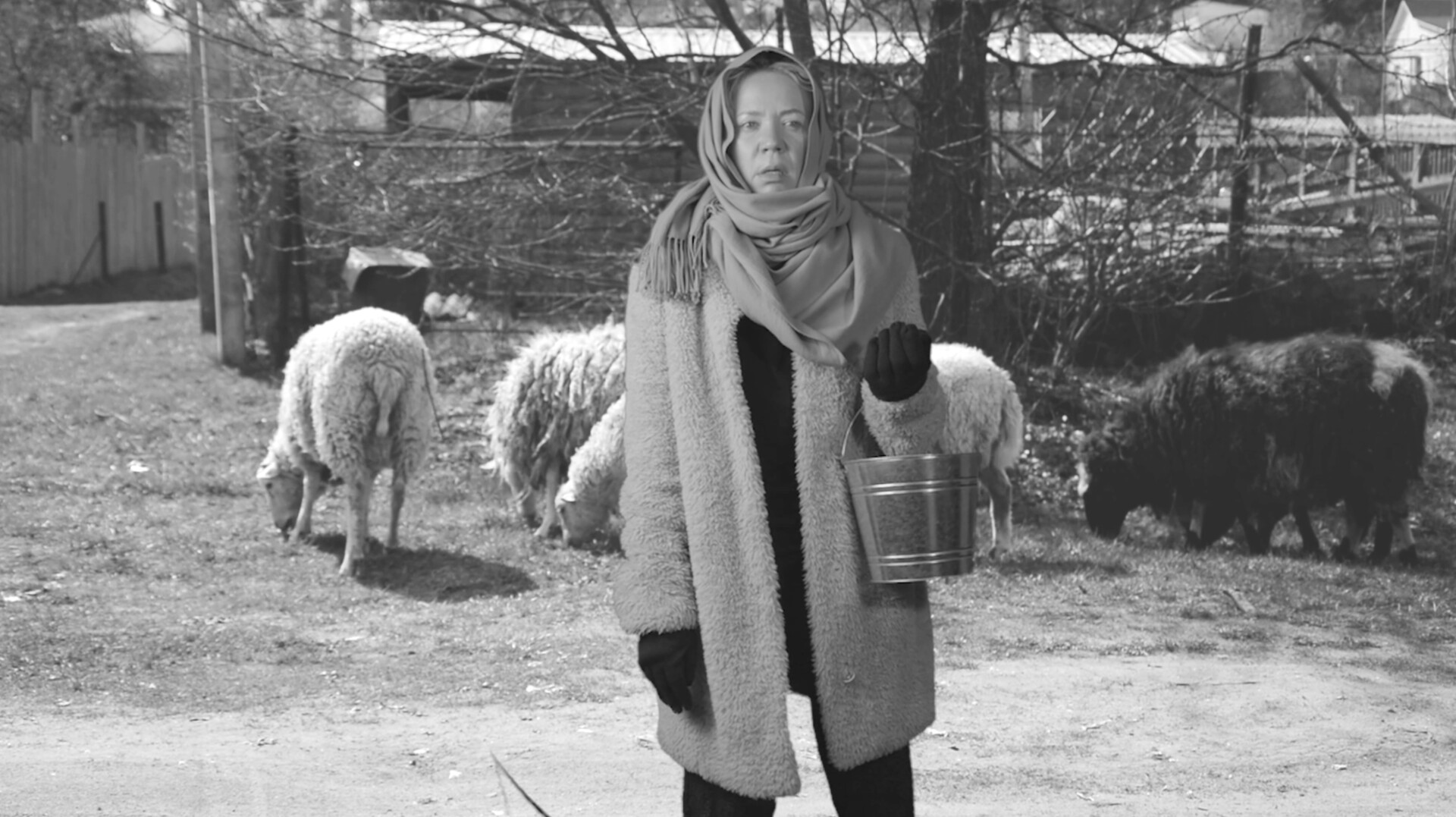 the-auteur-filmfreeway